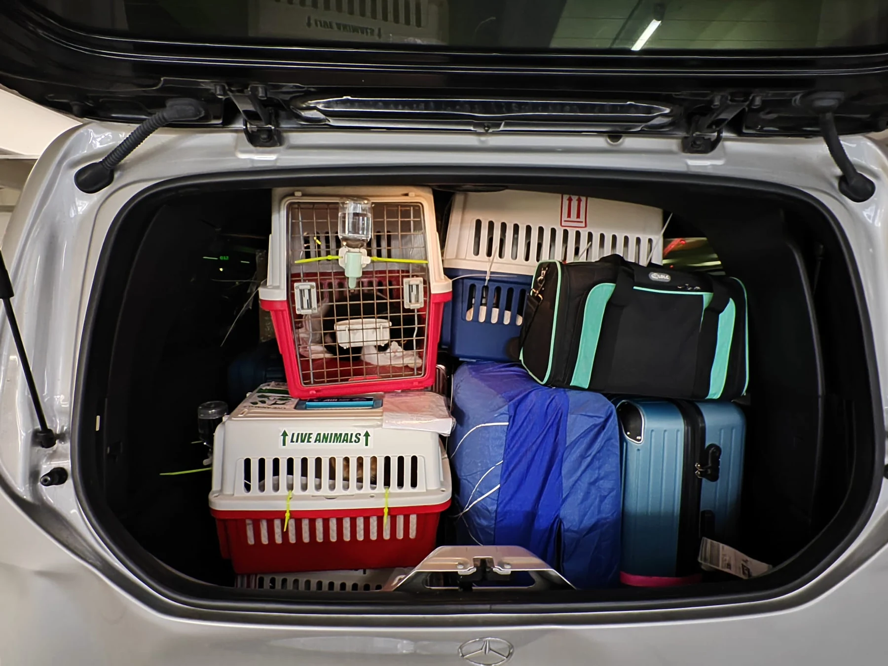 Luggage capacity